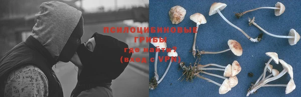 герыч Наволоки