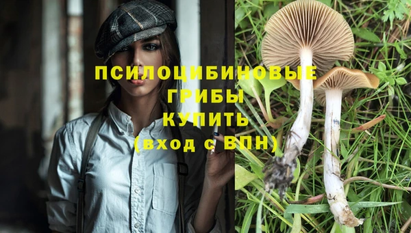 mdpv Навашино