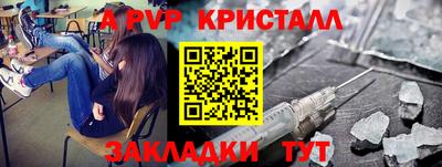 прущие грибы Кингисепп